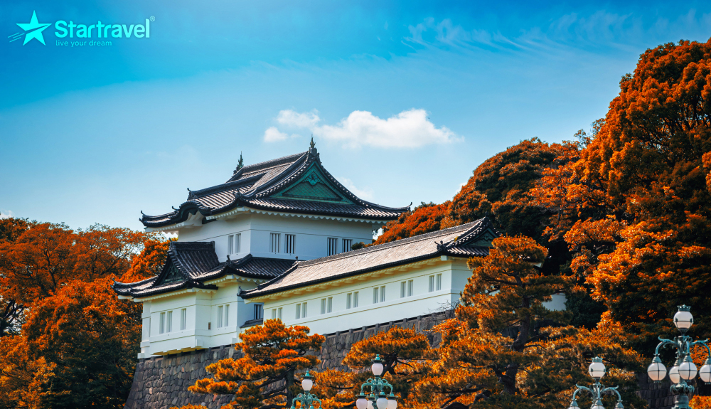 Nhật Bản mùa lá đỏ